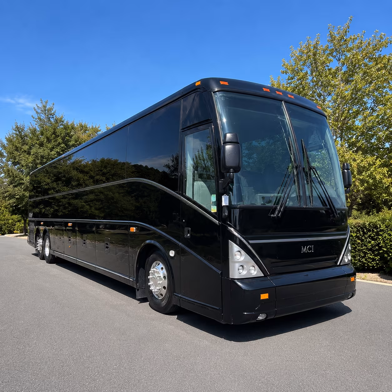 field trip buses to natural bridge caverns and san antonio from san marcos