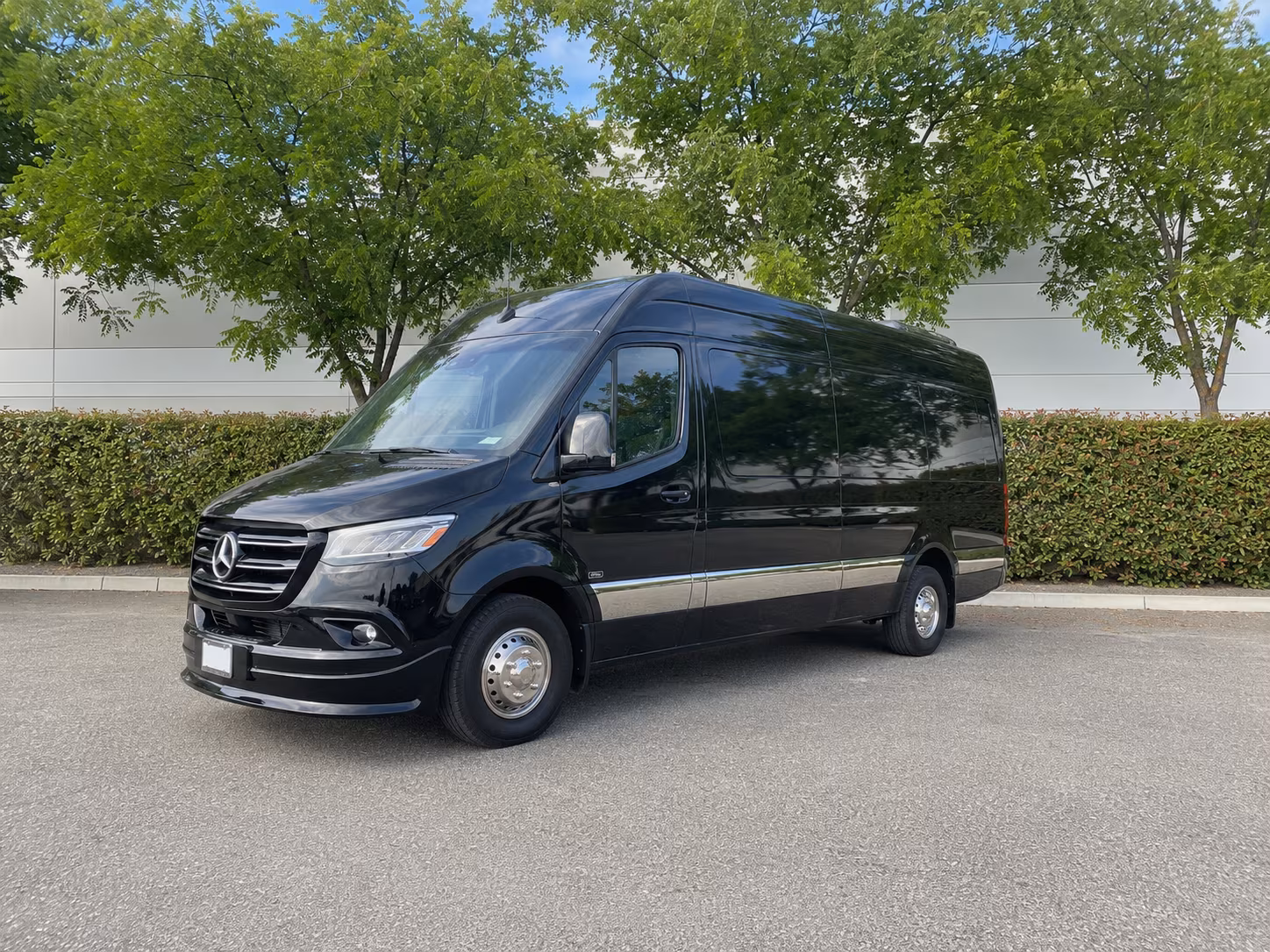sprinter van with driver